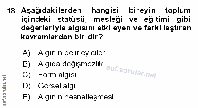 Soru 18