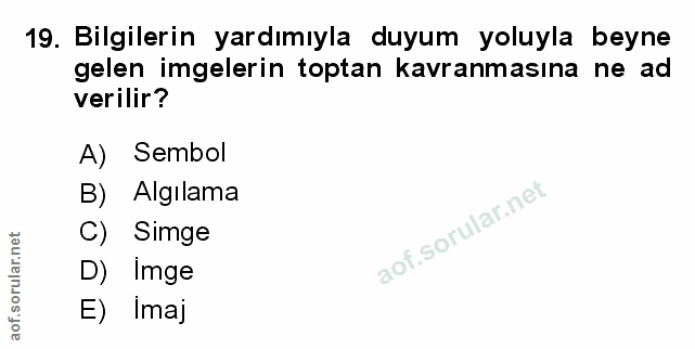 Soru 19