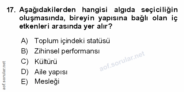 Soru 17