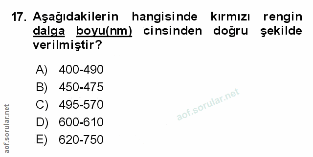 Soru 17