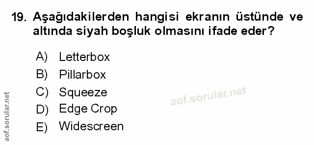 Soru 19