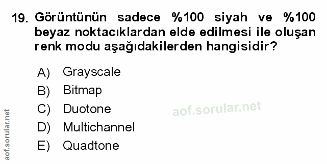 Soru 19