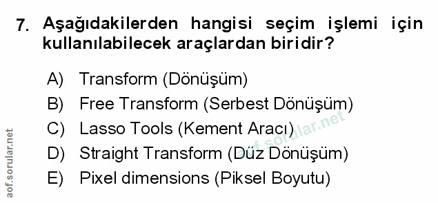 Soru 7