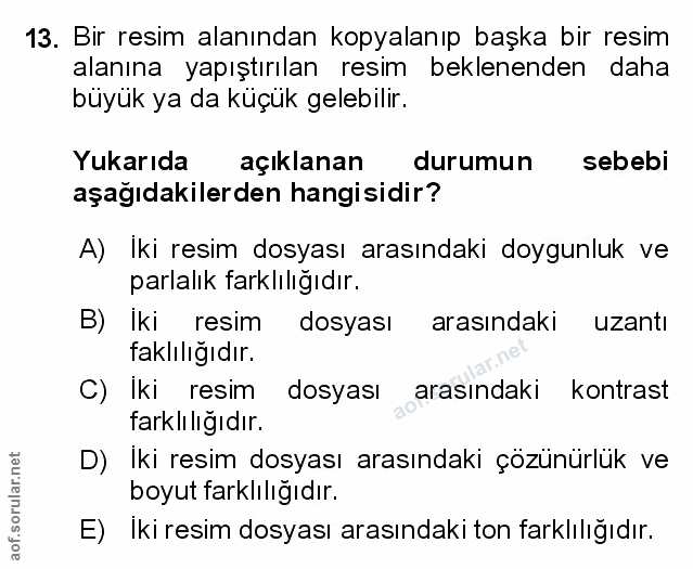 Soru 13