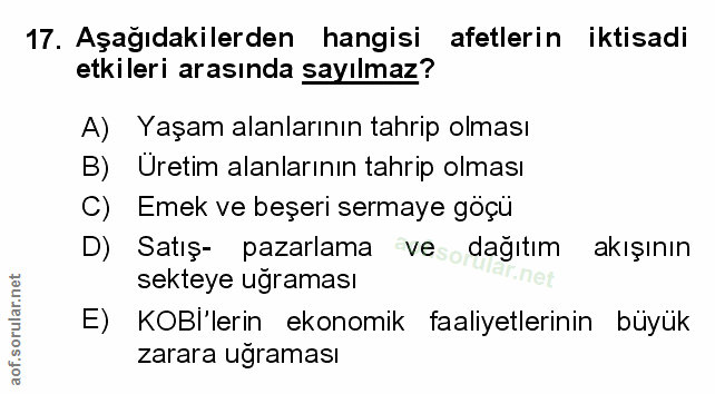 Soru 17