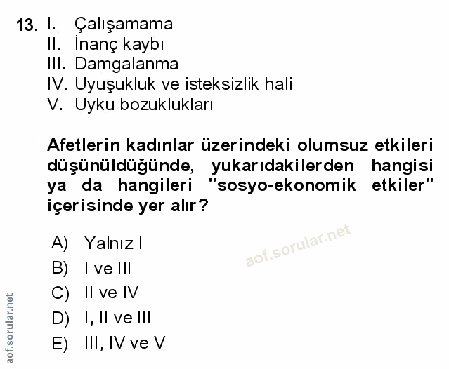 Soru 13