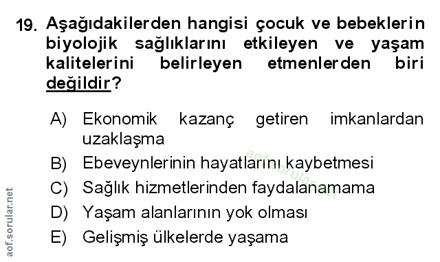 Soru 19