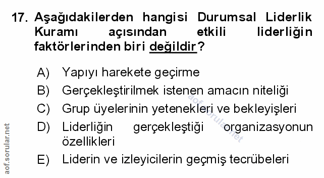 Soru 17
