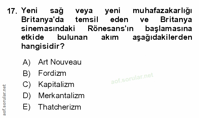 Soru 17