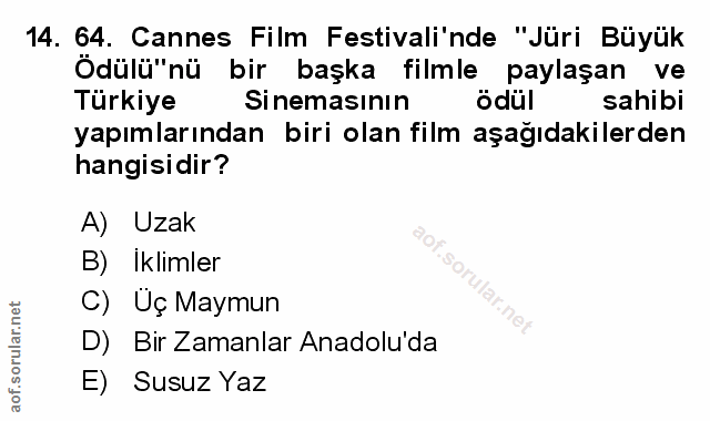 Soru 14