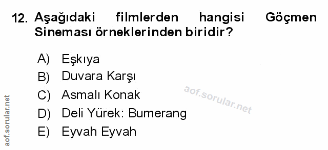 Soru 12