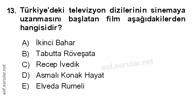 Soru 13