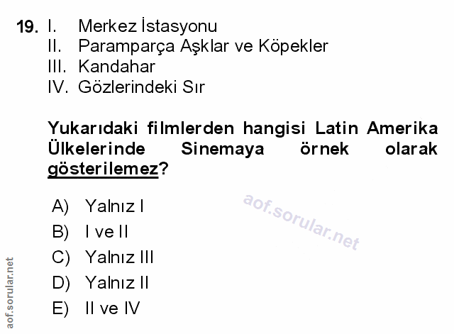 Soru 19