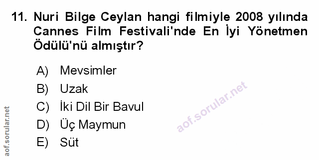 Soru 11