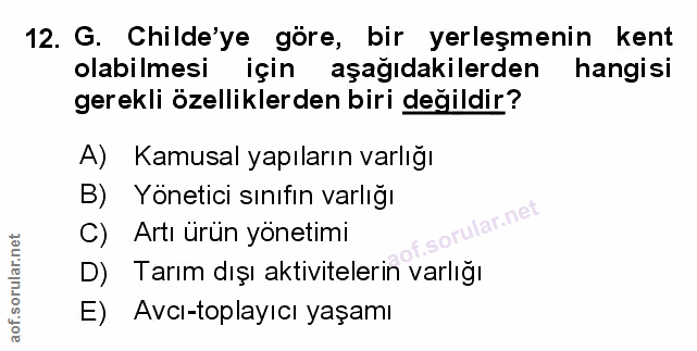 Soru 12