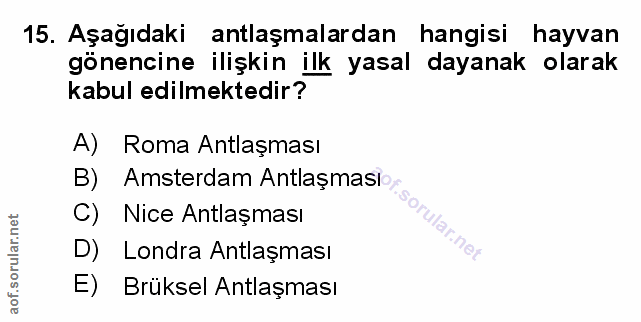 Soru 15