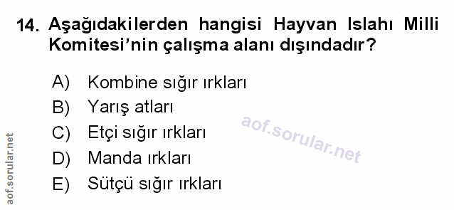 Soru 14
