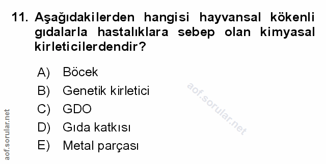 Soru 11