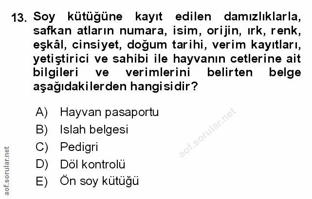 Soru 13