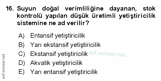 Soru 16