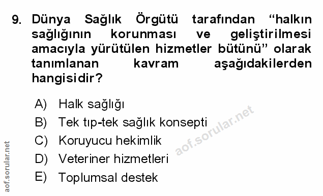 Soru 9