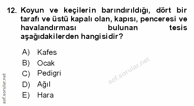 Soru 12