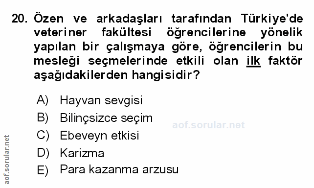 Soru 20