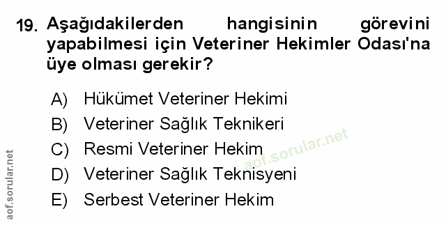 Soru 19