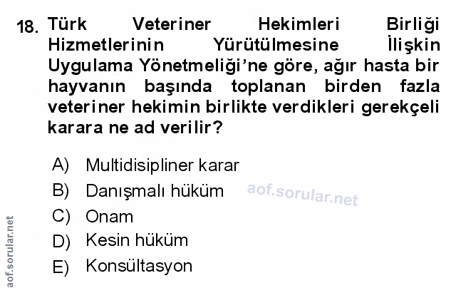 Soru 18