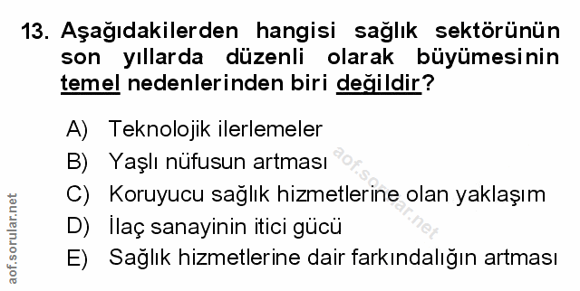 Soru 13