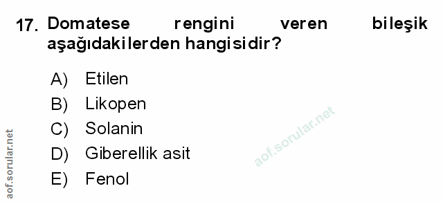 Soru 17