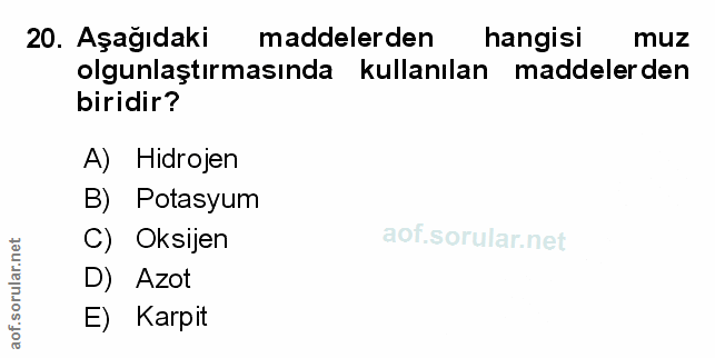 Soru 20