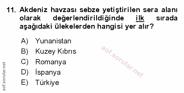 Soru 11