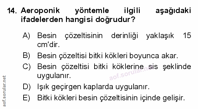 Soru 14