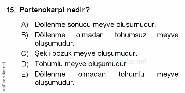 Soru 15
