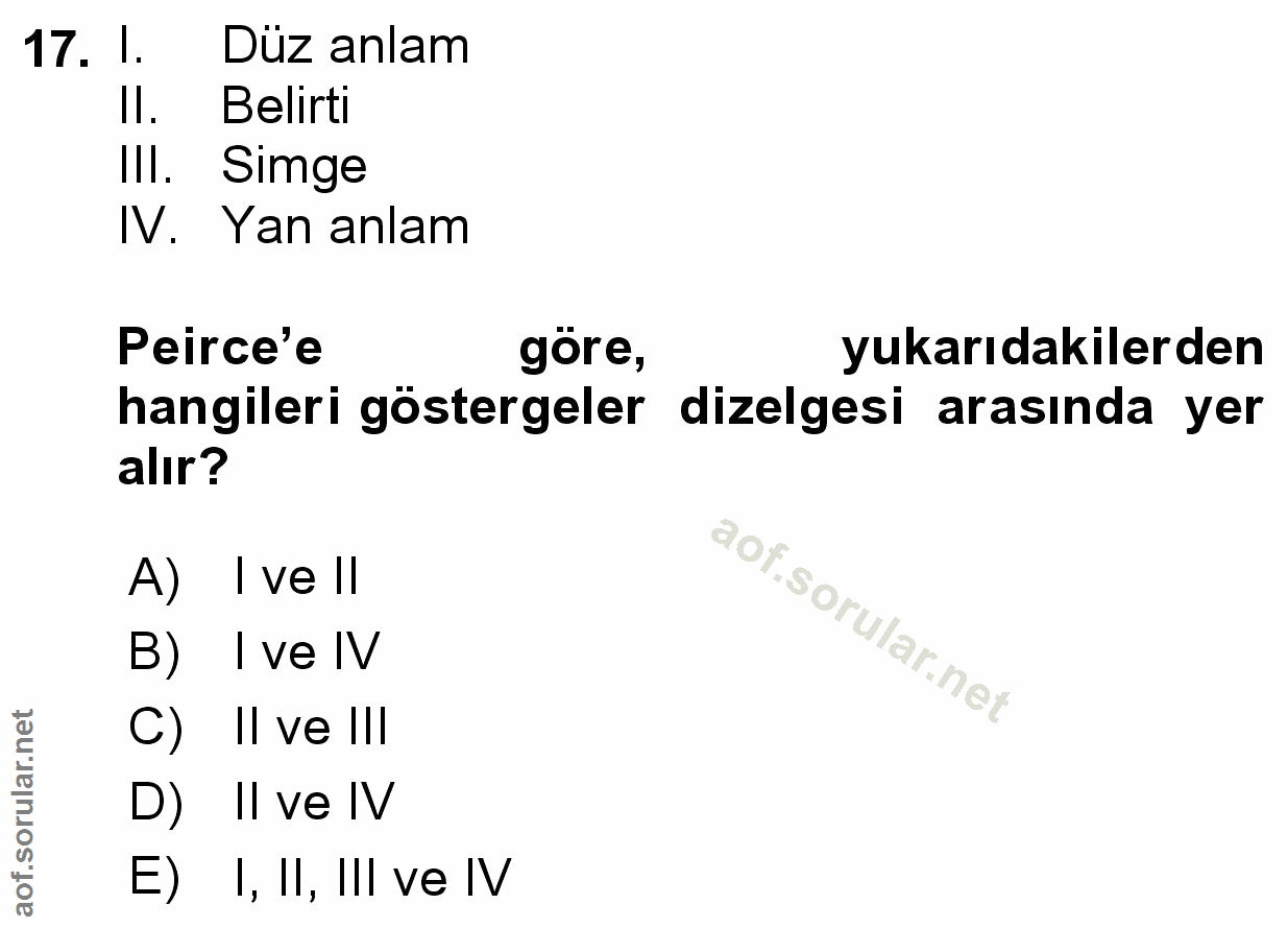 Soru 17