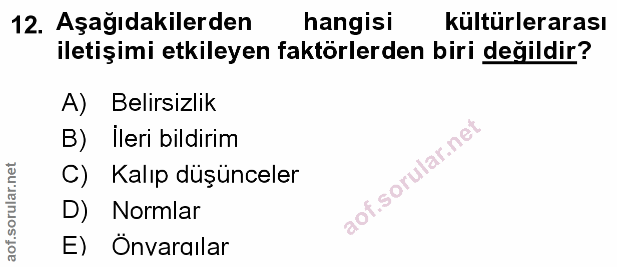 Soru 12