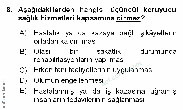 Soru 8