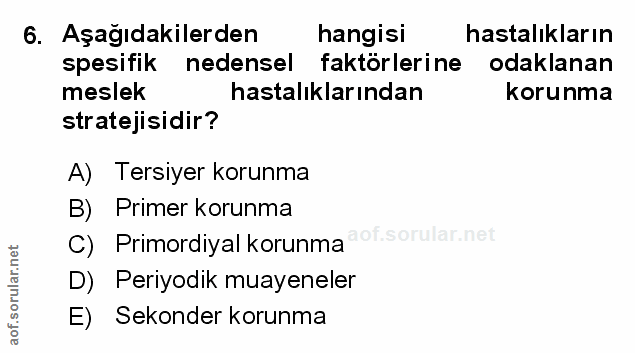 Soru 6