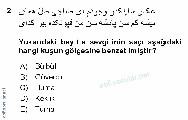 Soru 2