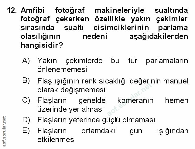 Soru 12