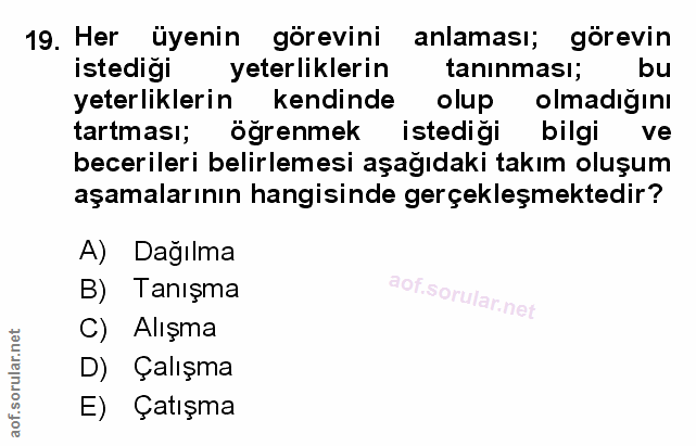 Soru 19
