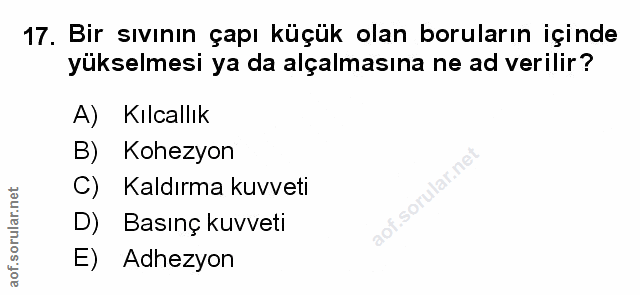 Soru 17