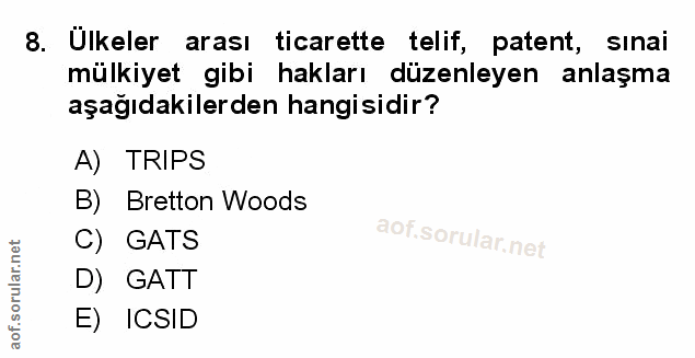 Soru 8