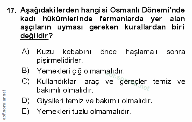 Soru 17