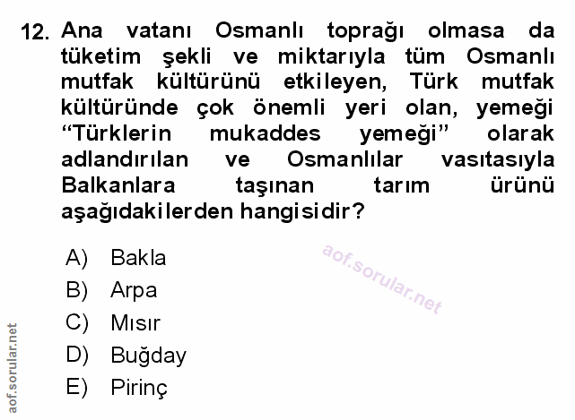 Soru 12
