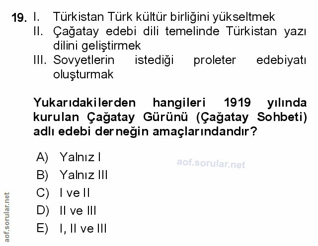 Soru 19