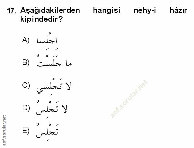 Soru 17