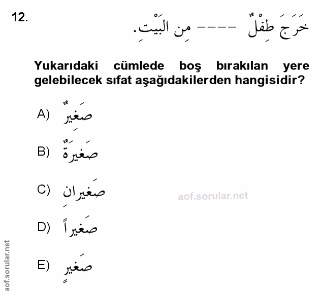Soru 12