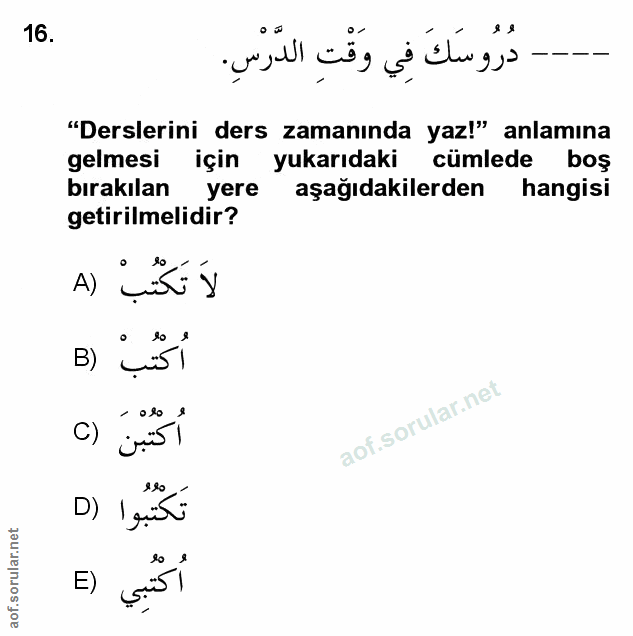 Soru 16